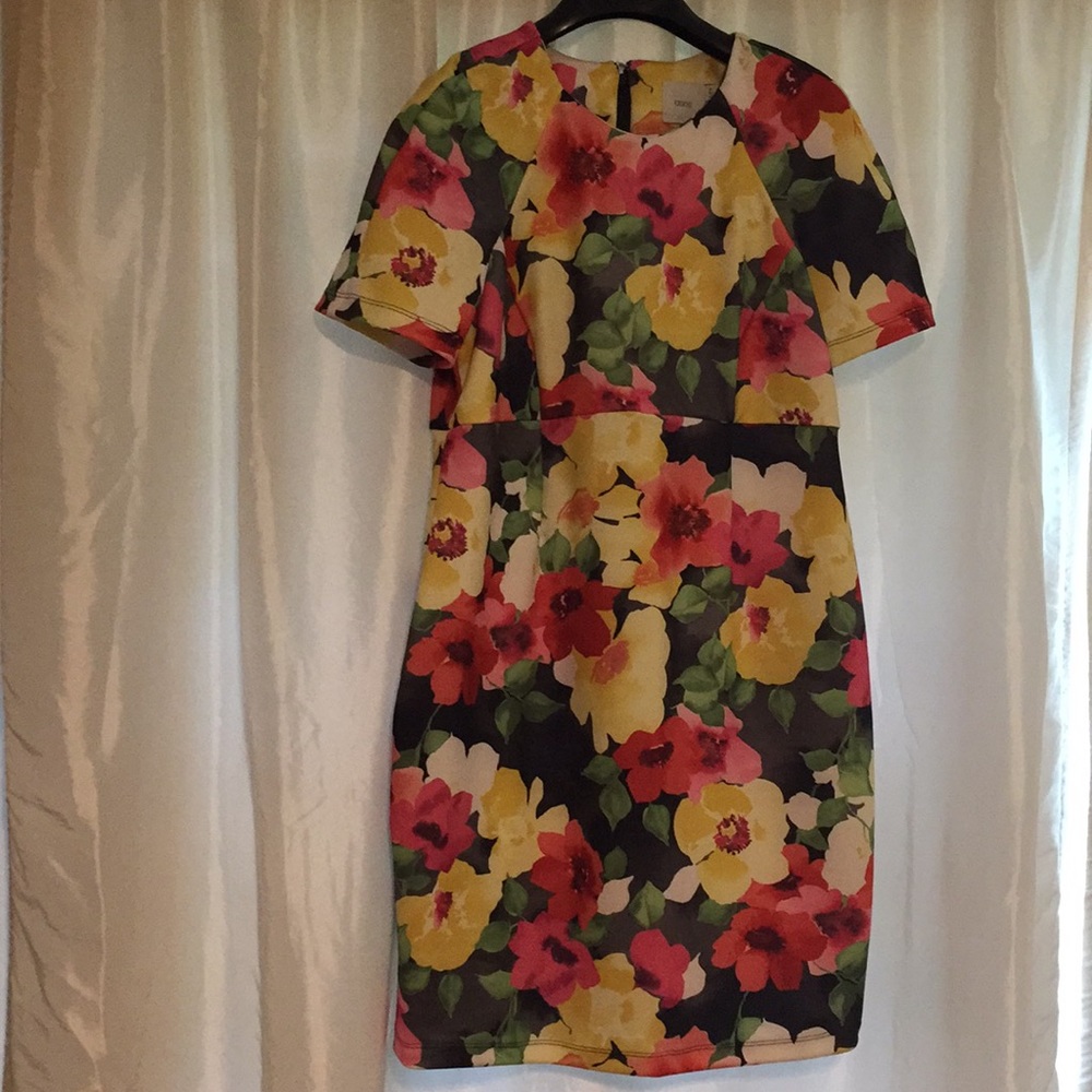 Maternity dress